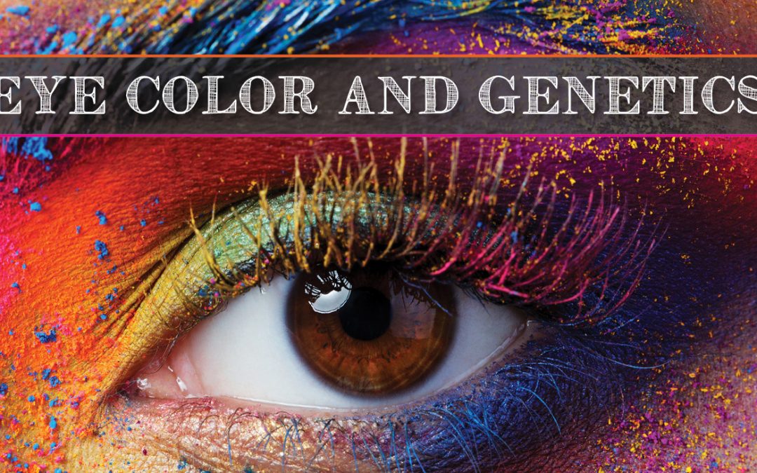 Eye Color & Genetics